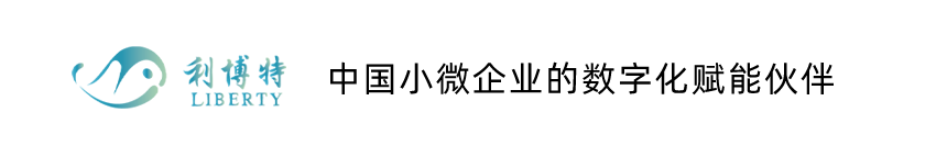 苏州利博特信息科技有限公司