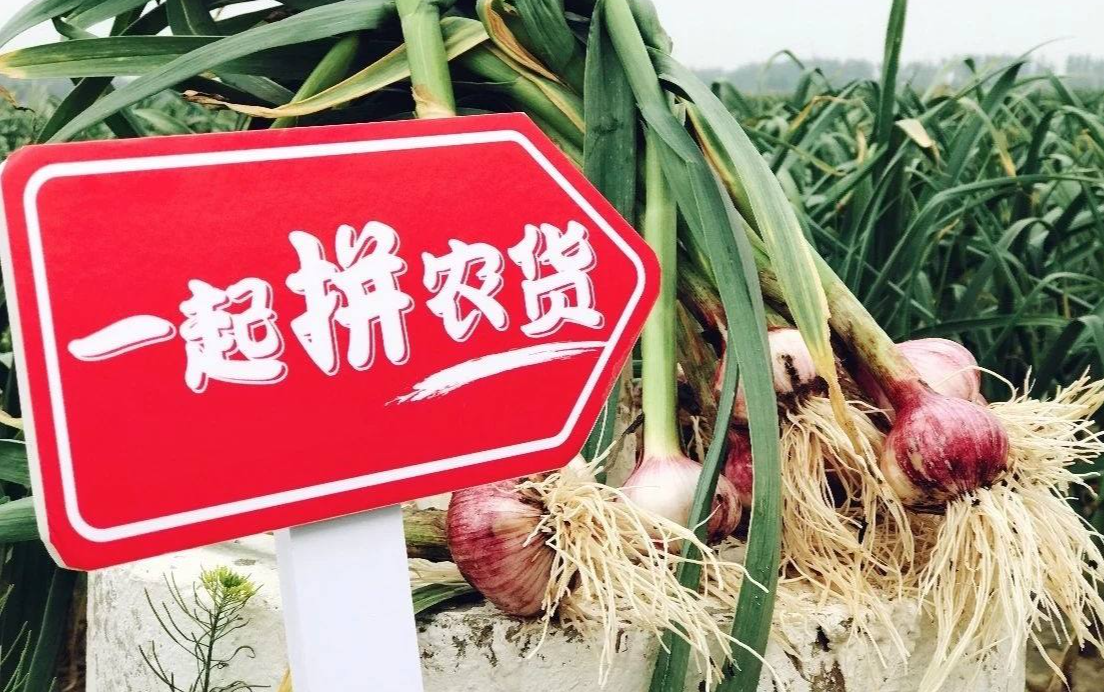 农产品上行助力中国脱贫攻坚战，中国电商平台让海外学者另眼相看(图1)